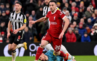 linimasa newcastle vs liverpool